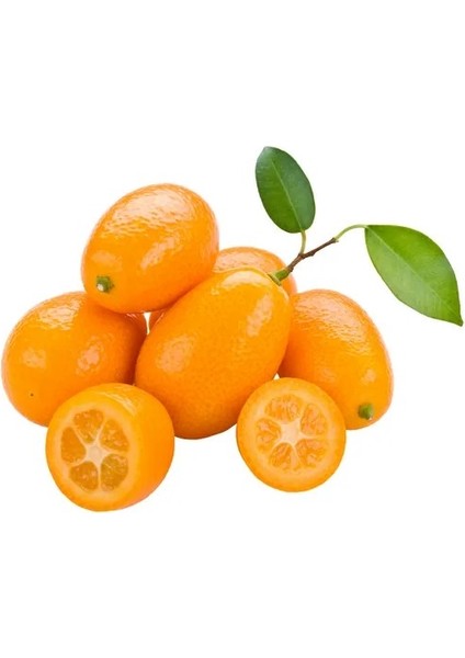 3 Lü Narenciye Paketim ( Kum - Por - Man ) fiyatları