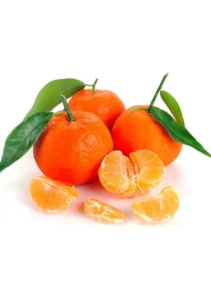 3 Lü Narenciye Paketim ( Kum - Por - Man ) fırsatları