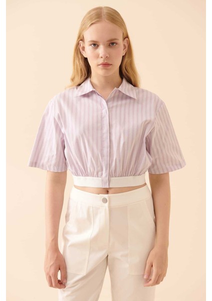 Çizgili Kısa Kollu Gömlek Lila Y2313515_017