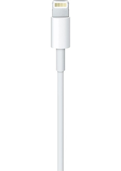 Apple Usb-C - Lightning Kablosu (1 M) - MM0A3ZM/A (Yurt Dışından)