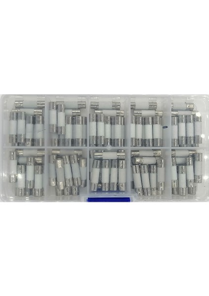 5X20 Seramik Sigorta Seti 100X 10 Tür Kutulu fırsatları