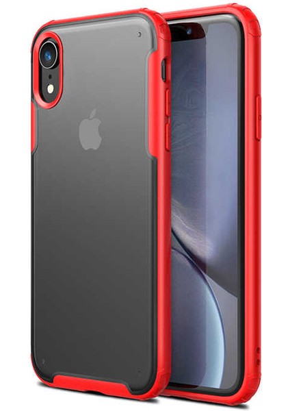 Apple iPhone Xr 6.1 Kılıf Köşe Korumalı Arkası Mat Buzlu Sert Kapak (Volks)