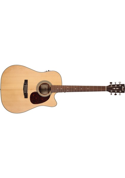 Elektro Akustik Gitar, Natürel Satin, Fıshman