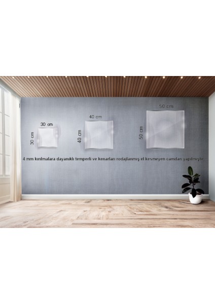 Aslan Kral Cam Tablo Duvar Dekoru 3 indirimleri