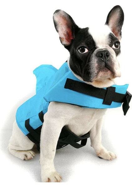 Shark Köpek Yüzme Ceketi, Can Yeleği Xs