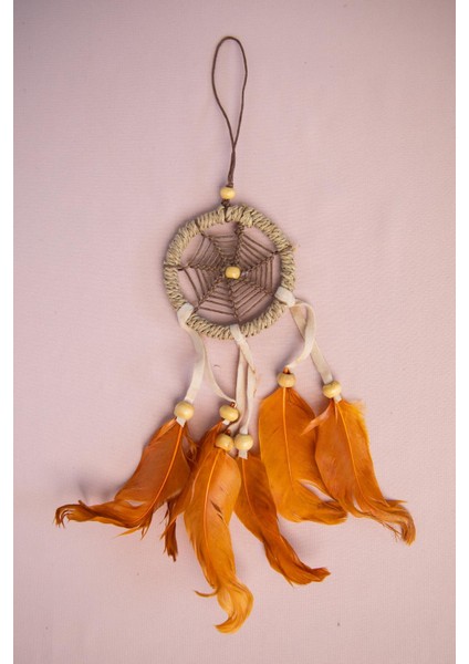 Mini Düş Kapanı