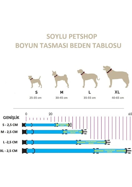 Soylu Pet Bleu Köpek Tasması, Bleu Isme Özel Tasma, Bleu Isimli Köpek Tasması, Bleu Kişiye Özel Köpek Tasması