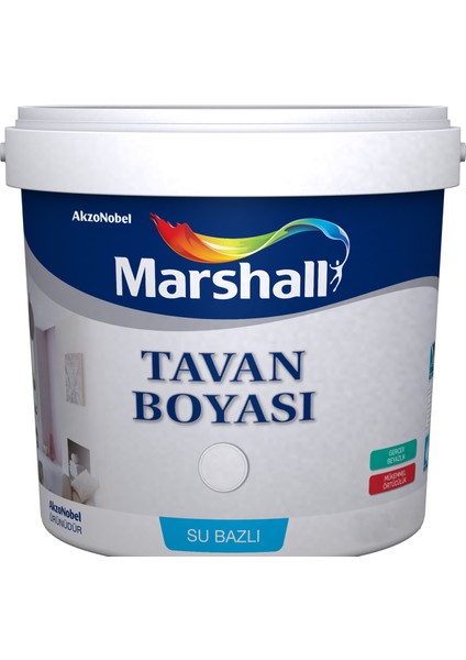 Tavan Boyası