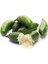 Figerlime Havyar Limon Ağacı 2