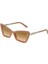 Güneş Gözlüğü TF4203 8374/3B 1