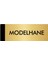 Metal Yönlendirme Levhası Departman Kapı İsimliği Modelhane 7 x 20 cm Altın 1