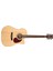 Elektro Akustik Gitar, Natürel Satin, Fıshman 1