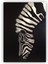 Zebra Ahşap Poster 20X29 cm 1