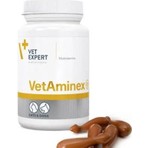 Vet Expert Vetexpert Vetaminex Kedi ve Köpekler İçin Vitamin ve Mineral Kompleksi 60 Kapsül İyileşme Dönemi İçin VET.PLNT02