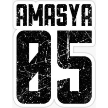 TSC 05 Amasya Sticker Yapıştırma Oto Etiket 17CM