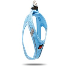 TailPetz Airmesh Kedi Köpek Göğüs Tasması