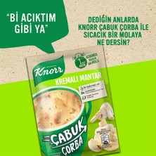 Knorr Kremalı Mantar Çabuk Çorba 19 G X12