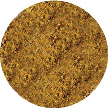 Depposite Panch Phor Karışımı 100 gr