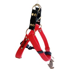 Balkonda Köpek göğüs tasması hakiki deri kırmızı kolon orta ve büyük ırk genişlik:2,5cm göğüs ölçüsü:50-90cm ayarlamalı dog harness GT5-18