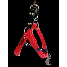 Balkonda Köpek göğüs tasması hakiki deri kırmızı kolon orta ve büyük ırk genişlik:2,5cm göğüs ölçüsü:50-90cm ayarlamalı dog harness GT5-18