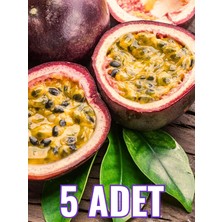 FidanBudur Çarkıfelek Meyvesi 5 Adet Orta Boy Pasiflora Aşk Tutku Meyvesi Passion Fruit