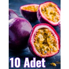 FidanBudur Çarkıfelek Meyvesi 10 Adet Orta Boy pasiflora, passion fruit, passiflora