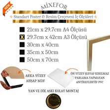 mixefor A3 Ölçülerinde Boş Çerçeve -Diploma Fotoğraf Resim Çerçevesi -  Ön Yüzey Antireflektif-Arka Yüzeymdf