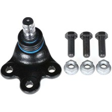 Orjin Rotıl Alt Kıtlı 508 2010- 364083 Orjın 03536 Oem