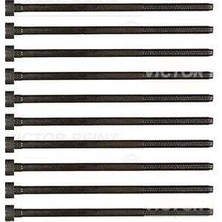 Victor Sılındır Kapak Cıvata Setı Alfa ROMEO145 1.4ı 16V T 96-01/147 1.6 16V T 01-10/156 1.6 16V 00-06 Vıctor Reınz 14-32221-01 Oem