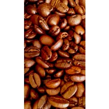 Tarçın Coffee Roastery Etiyopya Single Origin 180 gr