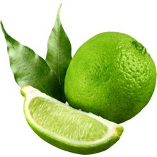 Tropik Sepeti Lime Limon 1 kg