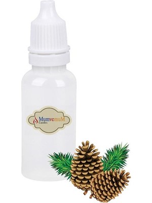 MumvemuM Buhurdanlık Esansı Çam 10 cm