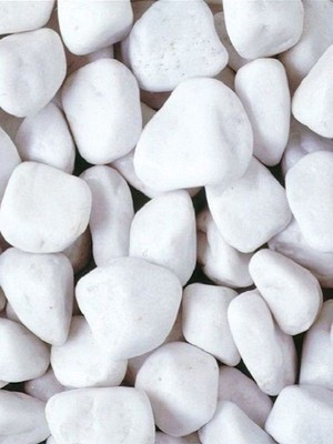 Biçiçek 2 Kg Dekoratif Beyaz Taş 1 - 2 Cm Tamburlanmış Saksı Doğal