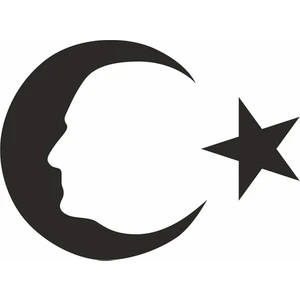 Reysa Tasarım Ayyıldız ve Atatürk Silüeti Sticker 20X20 cm Siyah
