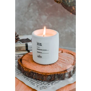 Ersu Store  Dekoratif Beton Saksı Içinde Amber ve Vanilya Kokulu Vegan Soya Mum