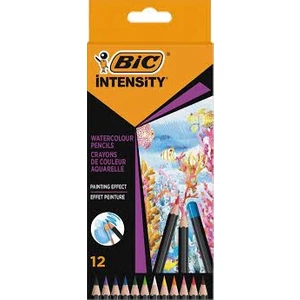 Intensity Aquacolor Sulandırılabilir Kalem Seti 12 Renk