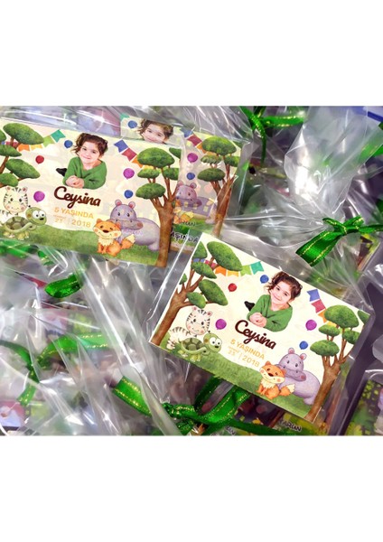 Doğum Günü 15 Adet Safari Temalı Magnet