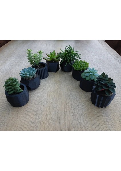 Dekoratif Skülent Saksı fiyatları