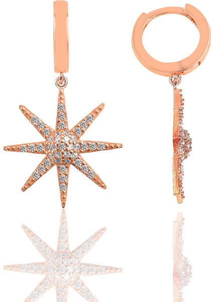 Gümüş Rose Zirkon Taşlı Güneş Küpe