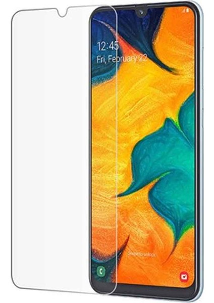 Smart Tech Samsung Galaxy A30 Temperli Kırılmaz Cam Ekran Koruyucu