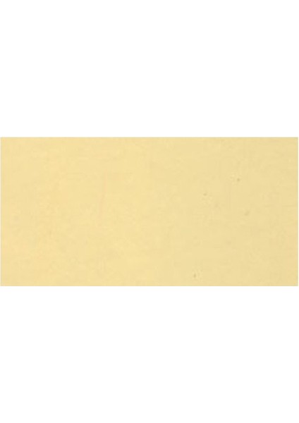 Bej Yeni Formül Akrilik Boya 140 ml fiyatları