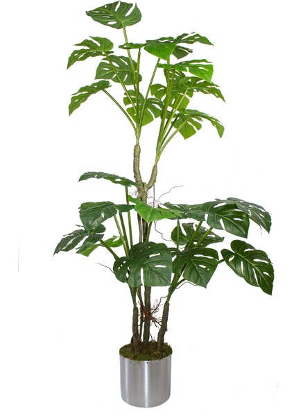 Yapay Ağaç Monstera 170 cm 29 Yaprak