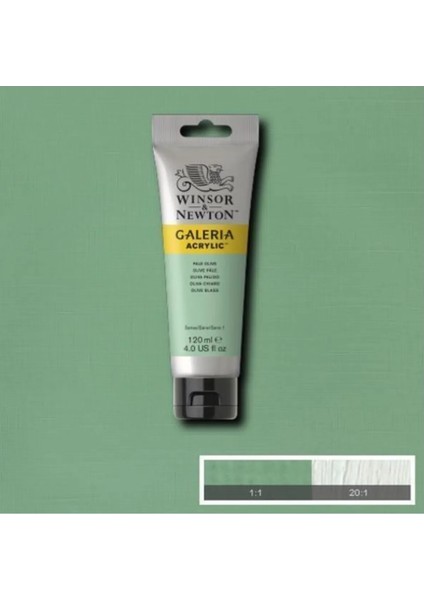 Galeria Akrilik Boya 120 Ml. 435 Pale Olive