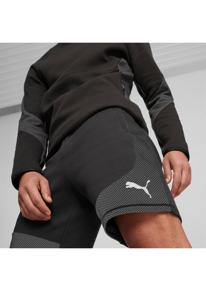 Evostripe Shorts 8 Erkek Şort