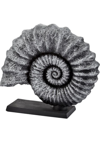 Salyangoz Dekor DO298