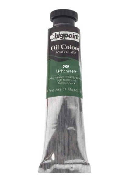 Yağlı Boya 200ML Light Green 509