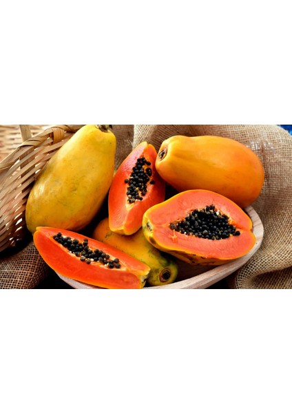 Papaya Meyvesi Fidan