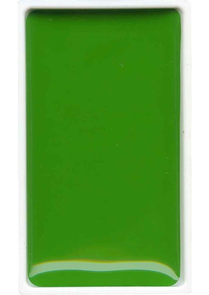 Gansai Tambi Suluboya Tablet No 51 Sap Green Light