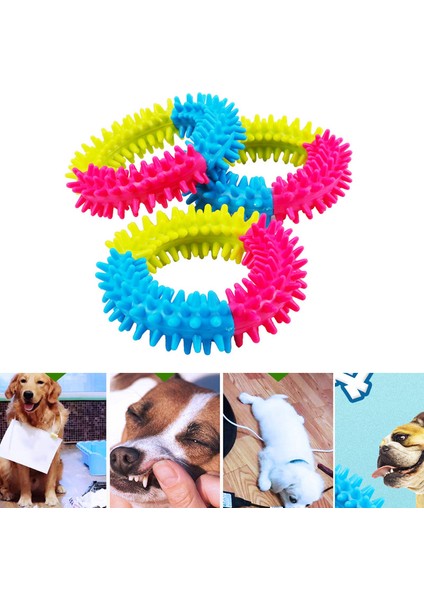 Köpek Çiğneme Oyuncağı Isırmaya Dayanıklı Diş Temizleme Köpekler Için Dışbükey Halka Oyuncak (Yurt Dışından)