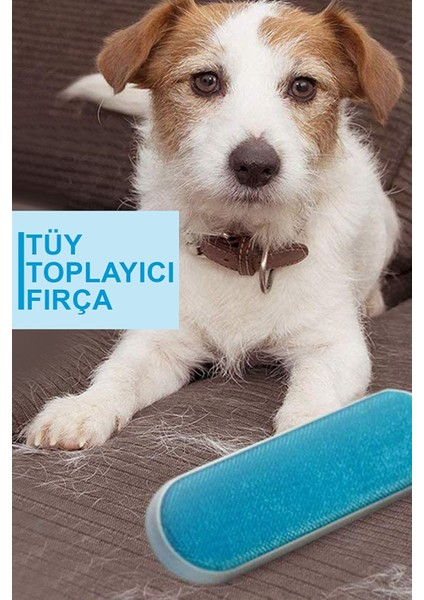 Tüy Toplama